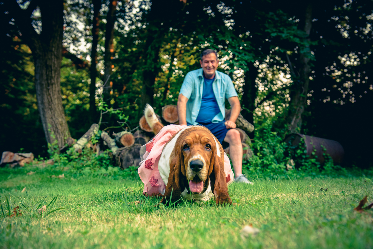 Register for Four Season Pet and Person photography session